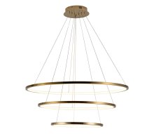 Подвесной светодиодный светильник Loft IT Ring 10015/3