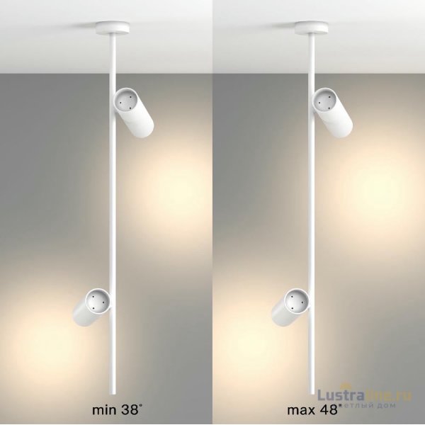 Подвесной светильник Maytoni Elti C021CL-02W Подвесной светильник Maytoni Elti C021CL-02W