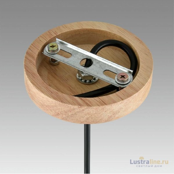 Подвесной светильник Lumion Suspentioni Natana 8055/1A Подвесной светильник Lumion Suspentioni Natana 8055/1A