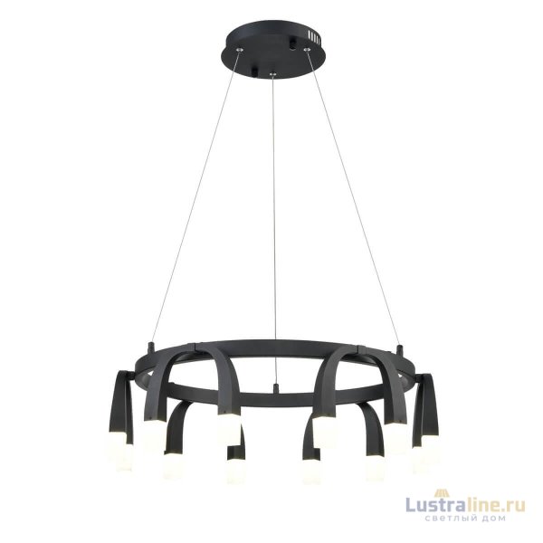 Подвесной светильник Vele Luce Negro VL7102P12