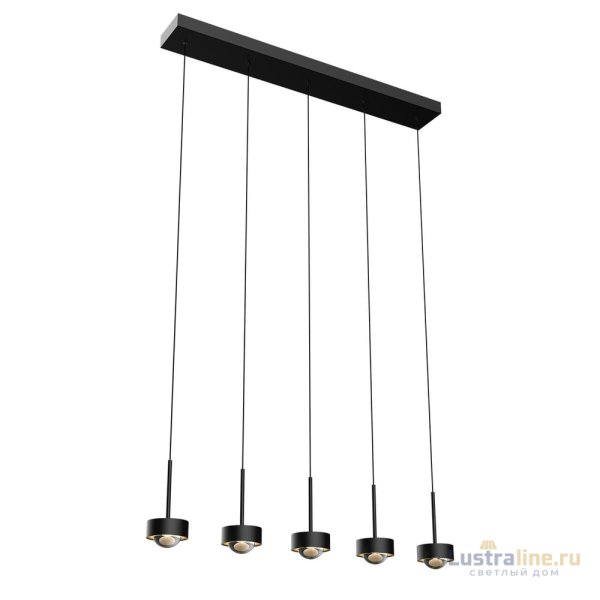Подвесной светильник Delight Collection MD2826 MD2826-5L black Подвесной светильник Delight Collection MD2826 MD2826-5L black