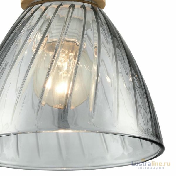 Подвесной светильник Lumion Suspentioni Mirabela 8050/1A