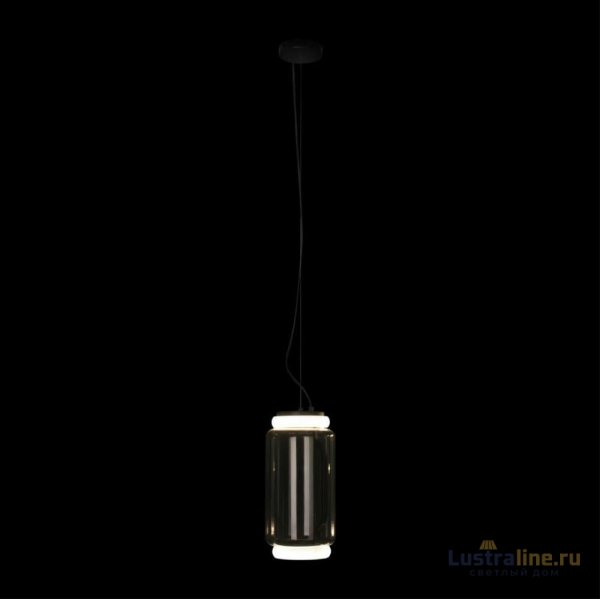 Подвесной светильник Loft IT Noctambule 10194/S