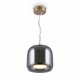 Подвесной светильник Maytoni Madmen MOD128PL-L6SG