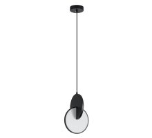 Подвесной светильник Arte Lamp Hannah A1916SP-1BK