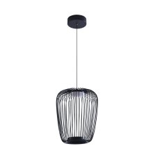 Подвесной светильник Arte Lamp Flare A3528SP-12BK
