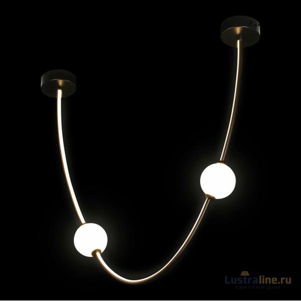 Подвесной светильник Loft IT Embrace 10242/600 Black Подвесной светильник Loft IT Embrace 10242/600 Black