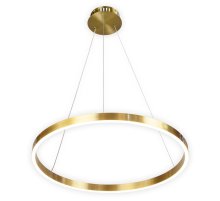 Подвесной светильник AM Group AM520 D400 PG