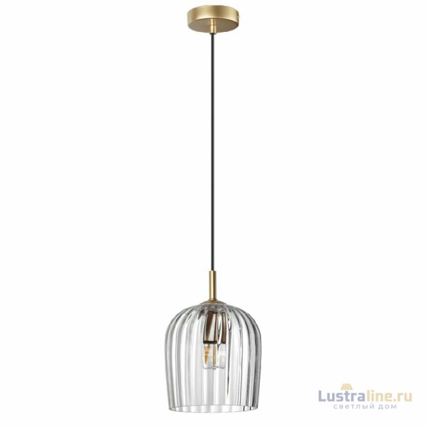 Подвесной светильник Lumion Ellie 6551/1A