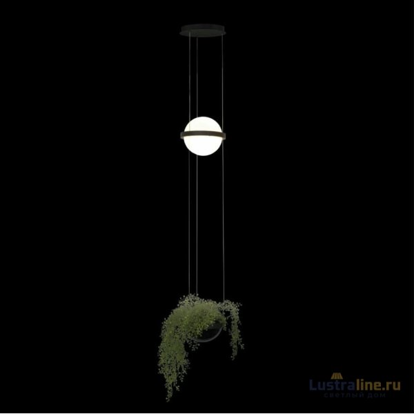 Подвесной светильник Loft IT Jardin 10121/B Подвесной светильник Loft IT Jardin 10121/B