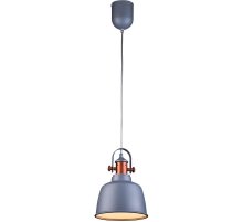 Подвесной светильник Lucia Tucci Industrial 1820.1 Sand Silver Подвесной светильник Lucia Tucci Industrial 1820.1 Sand Silver