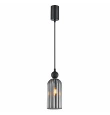 Подвесной светильник F-Promo Semisfera 4366-1P