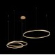 Подвесной светодиодный светильник Loft IT Ring 10017/3M