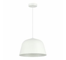 Подвесной светильник Evoluce Blank SLE1805-503-01