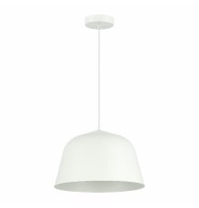 Подвесной светильник Evoluce Blank SLE1805-503-01