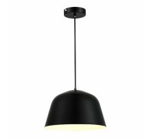 Подвесной светильник Evoluce Blank SLE1805-403-01