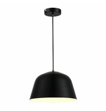 Подвесной светильник Evoluce Blank SLE1805-403-01