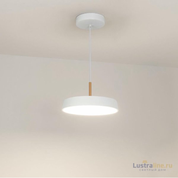 Подвесной светильник Arlight SP-ELEGANT-R300-17W Day4000 (WH, 120 deg, 230V) 033919(1)