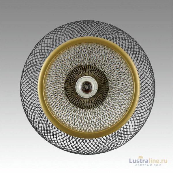 Подвесной светильник Lumion Suspentioni Leonela 8052/1A