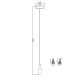 Подвесной светильник Delight Collection Seed OMG07287-1 C2 gold