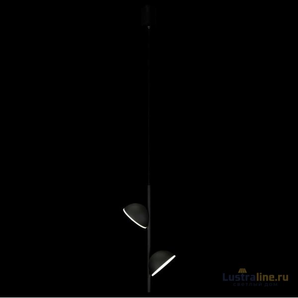 Подвесной светильник Loft IT Mons 10335 Black Подвесной светильник Loft IT Mons 10335 Black