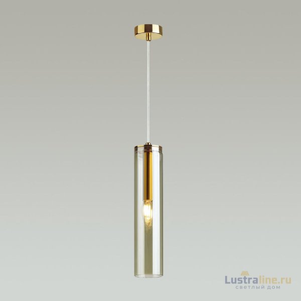 Подвесной светильник Odeon Light 4693/1