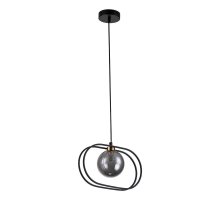 Подвесной светильник Indigo Spazio 11017/1P Black V000159 Подвесной светильник Indigo Spazio 11017/1P Black V000159