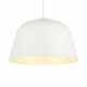 Подвесной светильник Evoluce Blank SLE1805-503-01