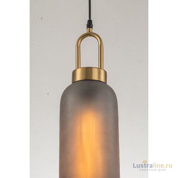 Подвесной светильник Arti Lampadari Narzole E 1.P2 CL