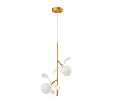 Подвесной светильник Kink Light Аста 07867-2A,33