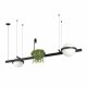 Подвесной светильник Loft IT Jardin 10121/D