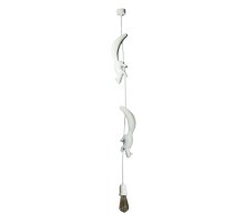 Подвесной светильник Loft IT Sherwood 10093
