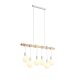 Подвесной светильник EVOLUCE BAGETTI SL1142.503.06