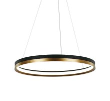 Подвесной светильник Delight Collection MD21001010 MD21001010-1B black/br.gold