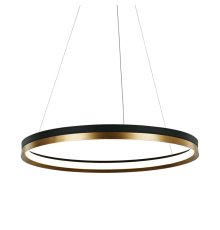 Подвесной светильник Delight Collection MD21001010 MD21001010-1B black/br.gold