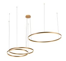 Подвесной светодиодный светильник Loft IT Ring 10017/3L