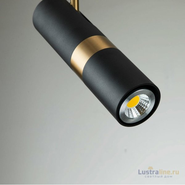 Подвесной светильник Favourite Light point 2997-1P