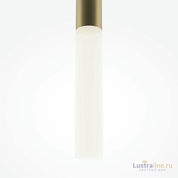 Подвесной светильник Maytoni Pro Shade MOD157PL-L6GK