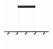 Подвесной светильник Loft IT Sign 10260/5 Black