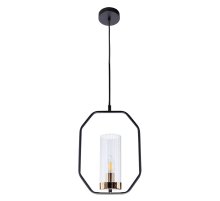 Подвесной светильник Arte Lamp Celaeno A7004SP-1BK
