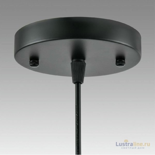 Подвесной светильник Lumion Suspentioni Leonela 8052/1A