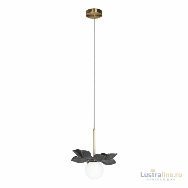 Подвесной светильник Loft IT Monro 10213/B Black Подвесной светильник Loft IT Monro 10213/B Black