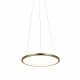 Подвесной светодиодный светильник Loft IT Ring 10014S
