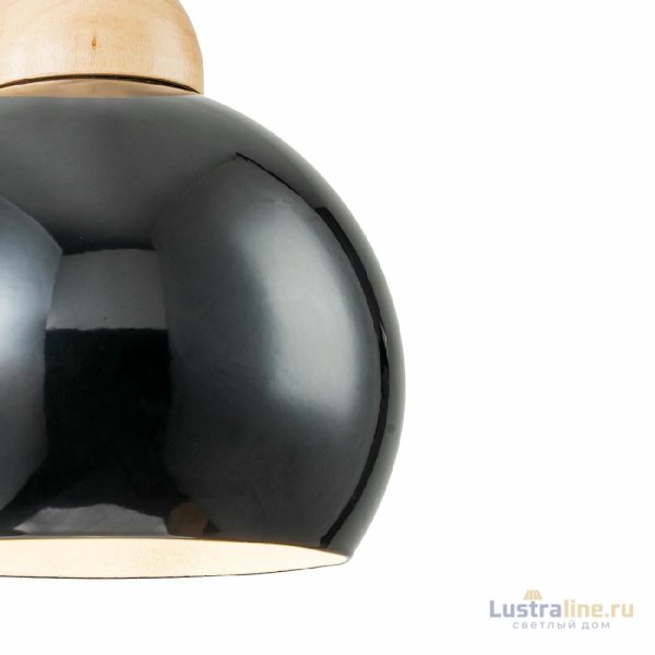 Подвесной светильник Escada Solo 10178/1S Black