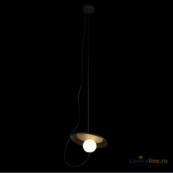Подвесной светильник Loft IT Wonders 10237P Black Подвесной светильник Loft IT Wonders 10237P Black