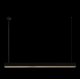 Подвесной светильник Loft IT Vim 10318/C Black