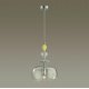 Подвесной светильник Odeon Light Bizet 4893/1A