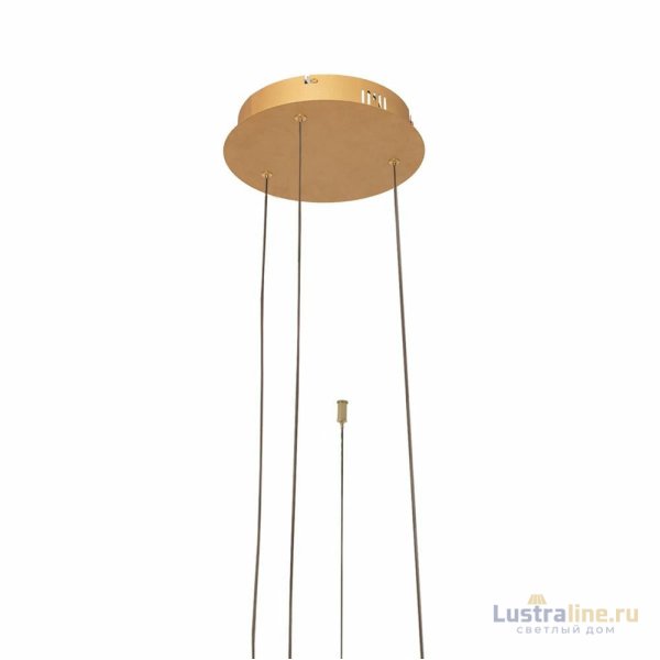 Подвесной светодиодный светильник Loft IT Ring 10017/3L Подвесной светодиодный светильник Loft IT Ring 10017/3L