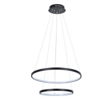 Подвесной светильник Arte Lamp Frodo A2197SP-2BK