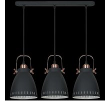 Подвесной светильник Reluce 08026-0.9-03 BK